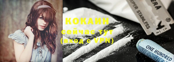 хмурый Осинники