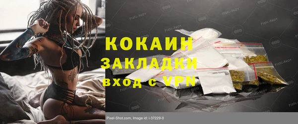 сатива Медвежьегорск