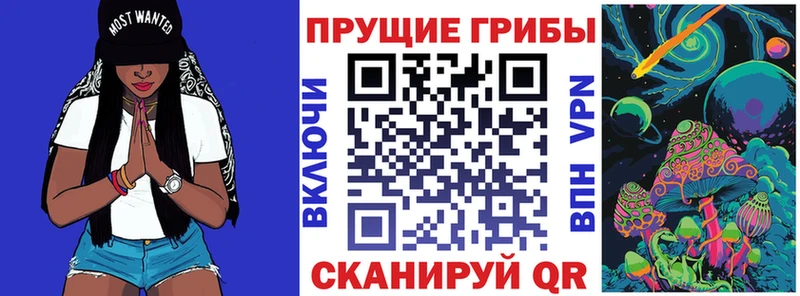 Псилоцибиновые грибы мухоморы  где купить наркоту  Заполярный 